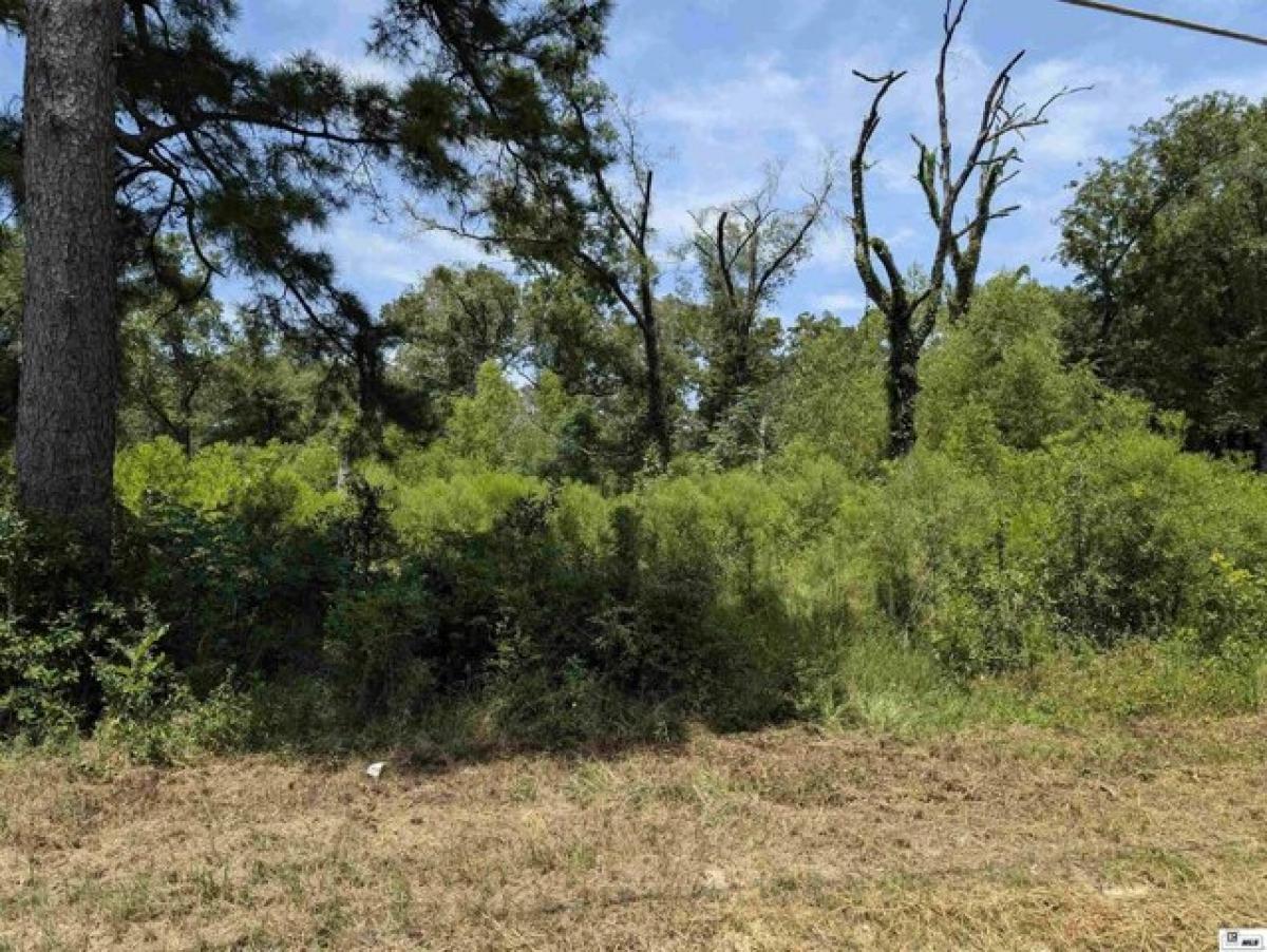 Picture of Residential Land For Sale in Monroe, Louisiana, United States