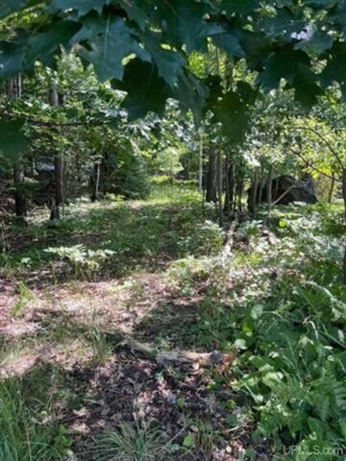 Picture of Residential Land For Sale in Marquette, Michigan, United States