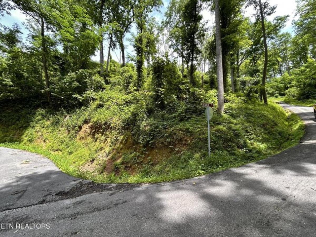 Picture of Residential Land For Sale in Gatlinburg, Tennessee, United States