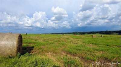 Residential Land For Sale in Zephyrhills, Florida