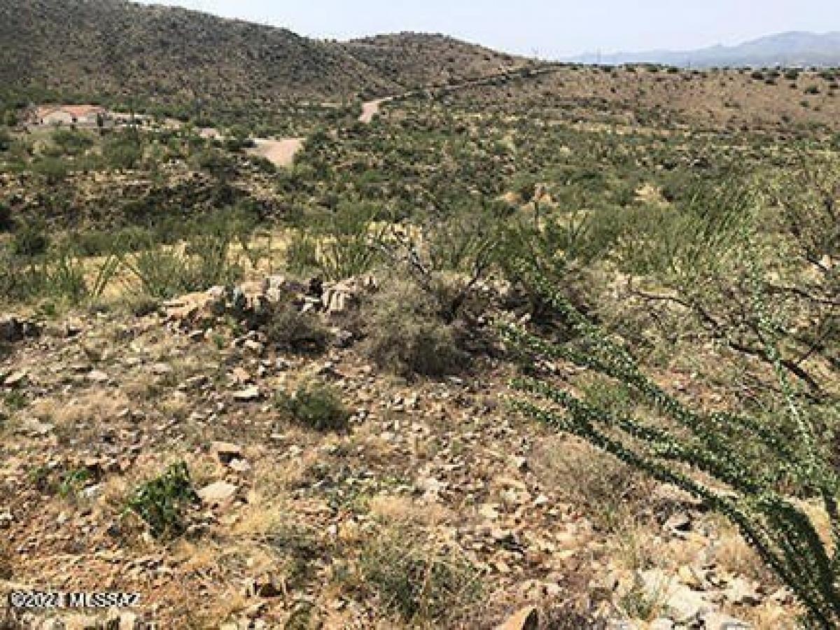 Picture of Residential Land For Rent in Rio Rico, Arizona, United States