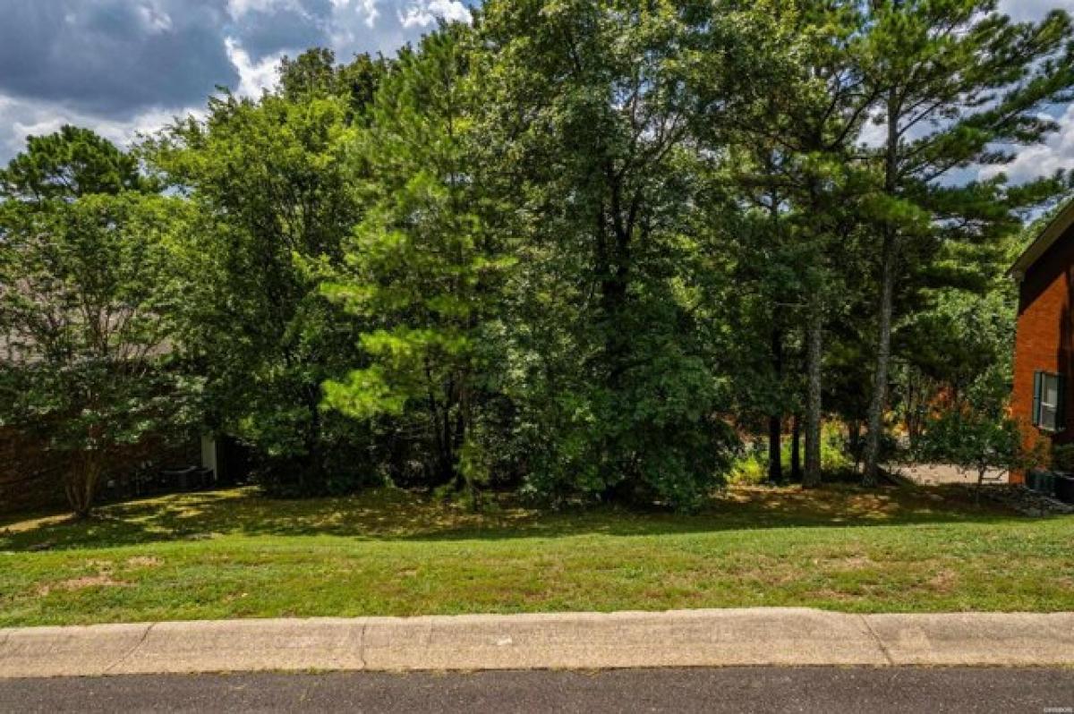 Picture of Residential Land For Rent in Hot Springs, Arkansas, United States