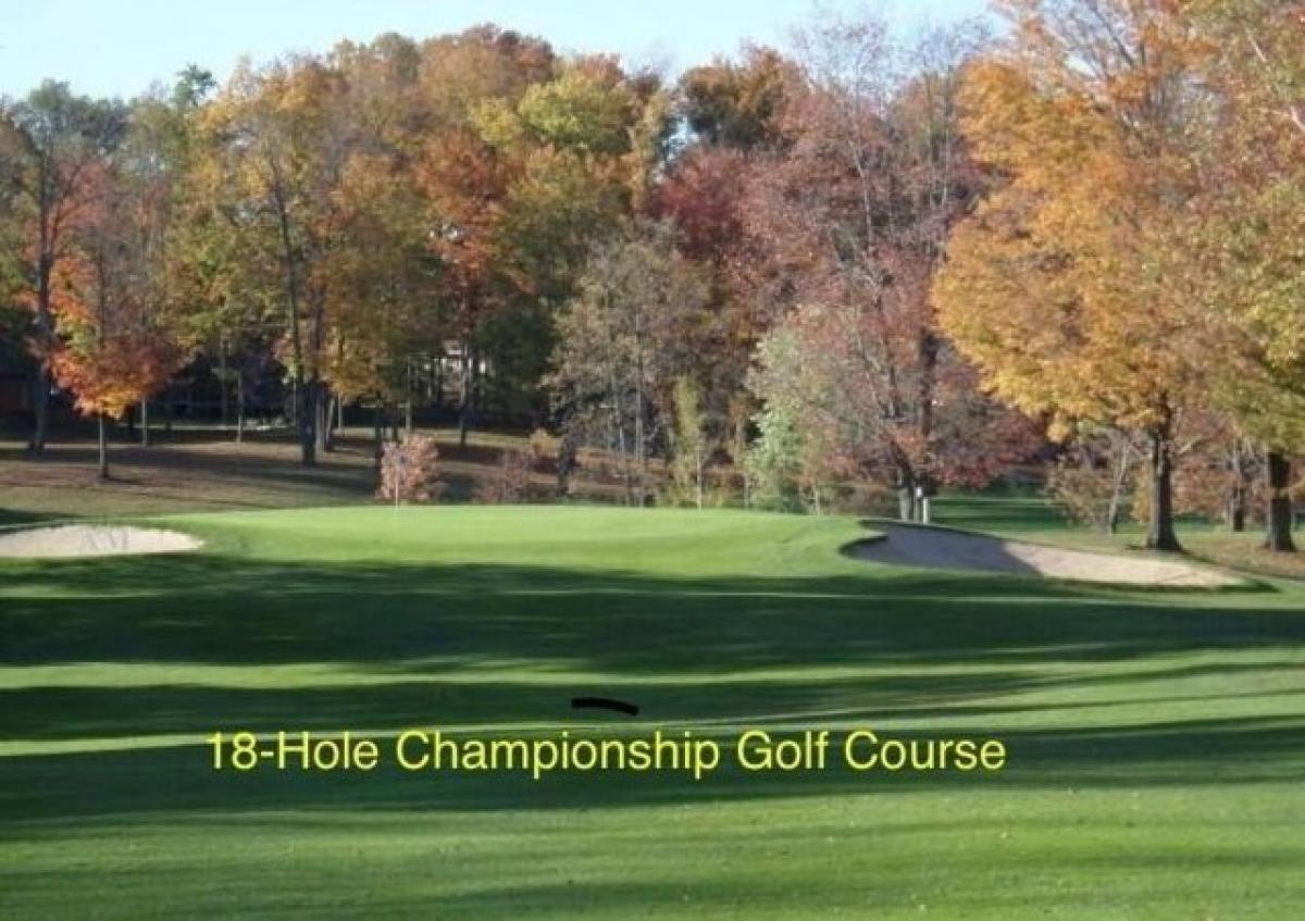 Picture of Residential Land For Rent in Gladwin, Michigan, United States