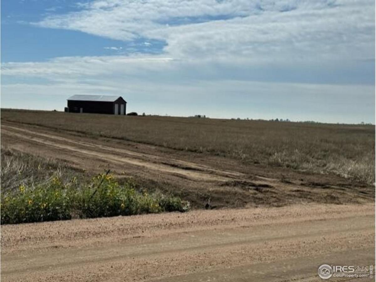 Picture of Residential Land For Sale in Pierce, Colorado, United States