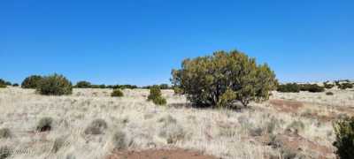 Residential Land For Rent in Concho, Arizona