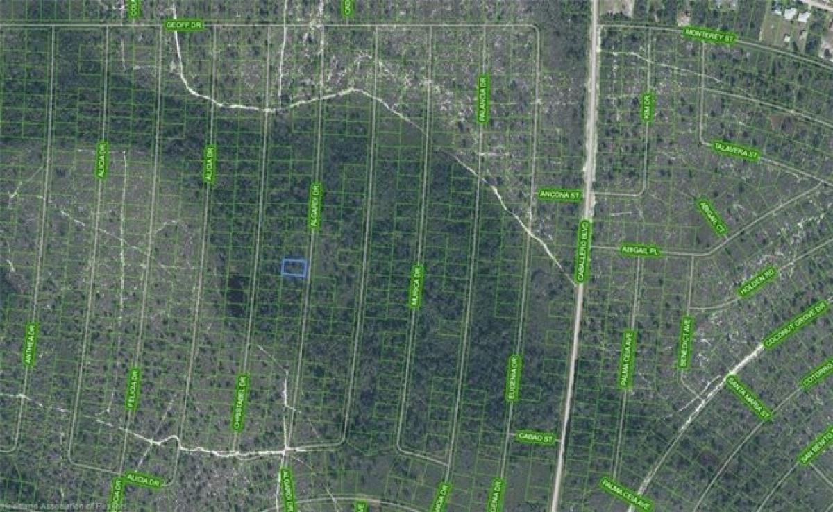 Picture of Residential Land For Rent in Sebring, Florida, United States