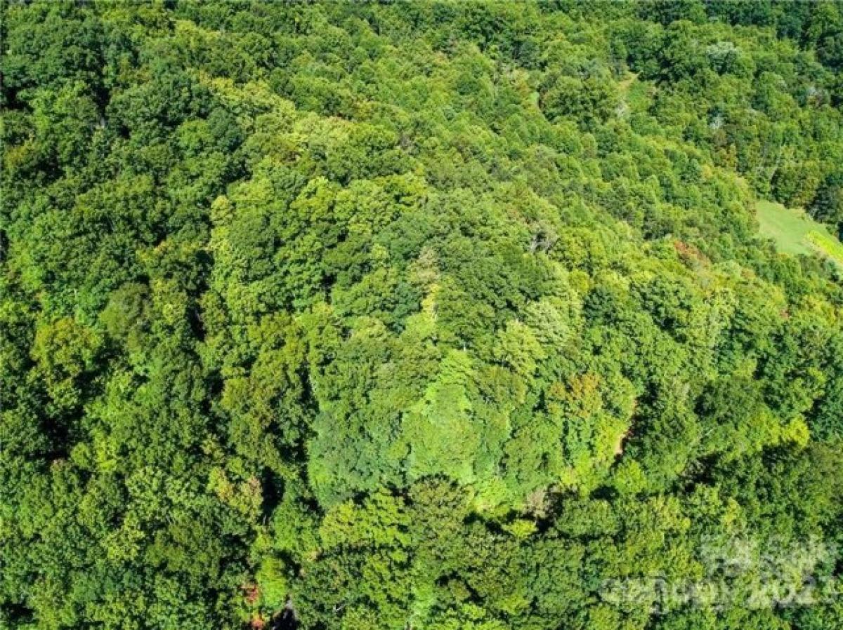 Picture of Residential Land For Rent in Waynesville, North Carolina, United States