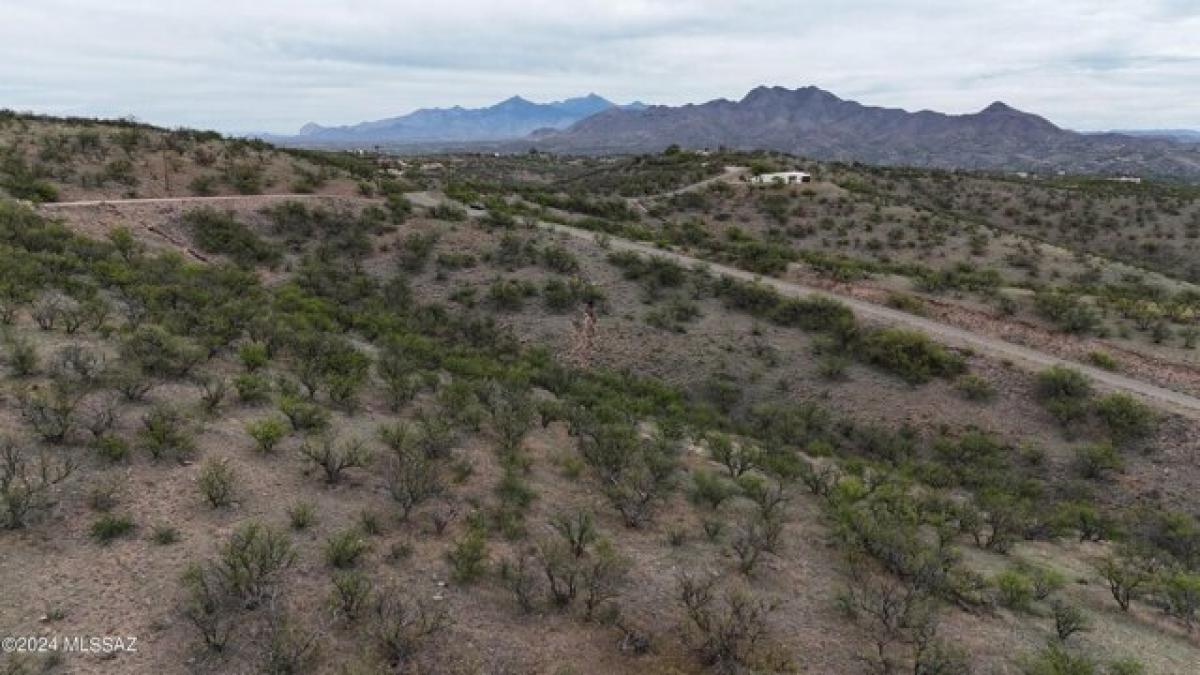 Picture of Residential Land For Rent in Rio Rico, Arizona, United States