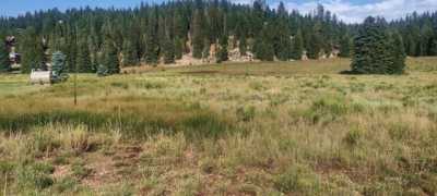 Residential Land For Rent in Duck Creek Village, Utah