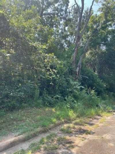 Residential Land For Rent in Palestine, Texas
