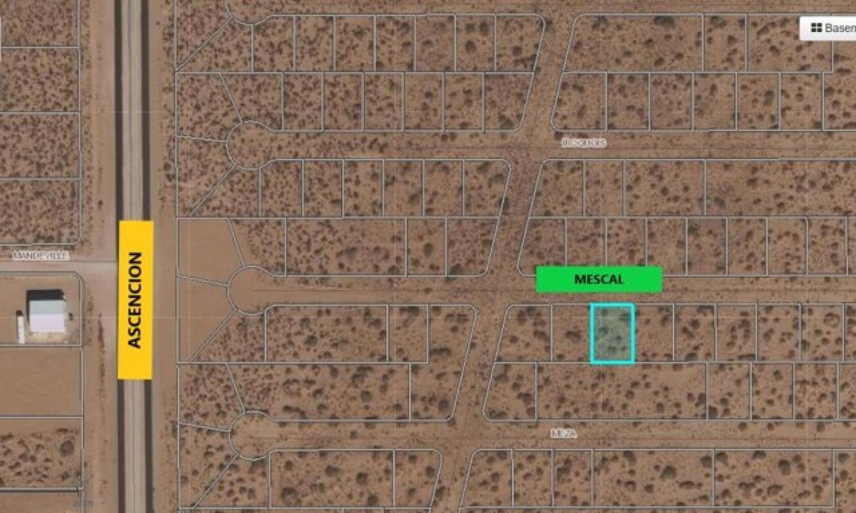 Picture of Residential Land For Rent in Horizon City, Texas, United States