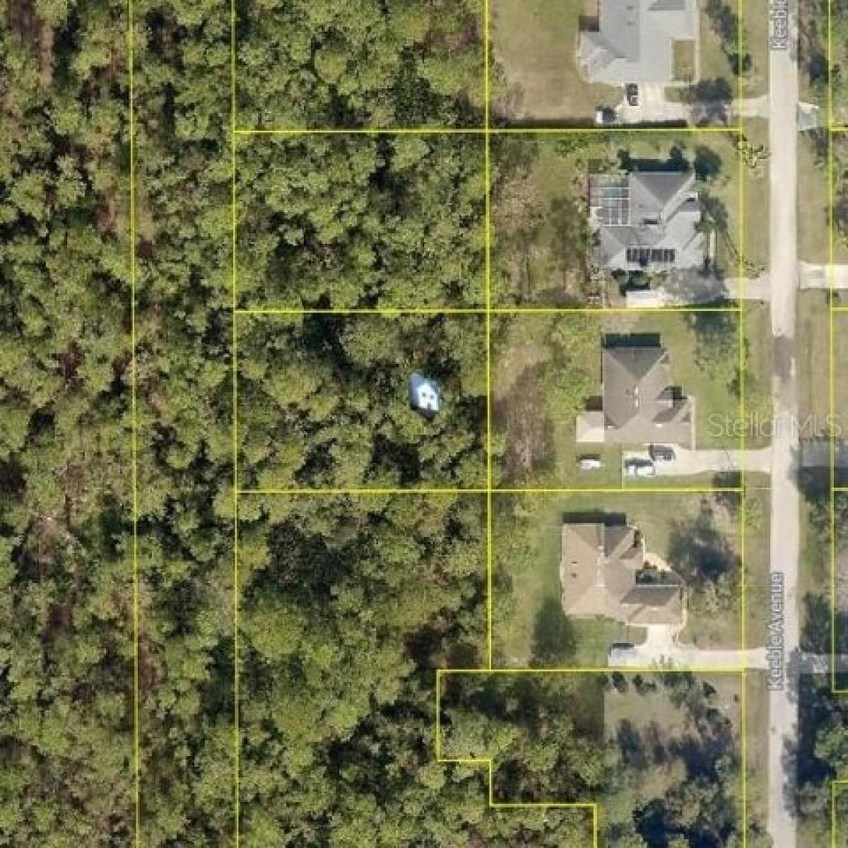 Picture of Residential Land For Sale in Debary, Florida, United States