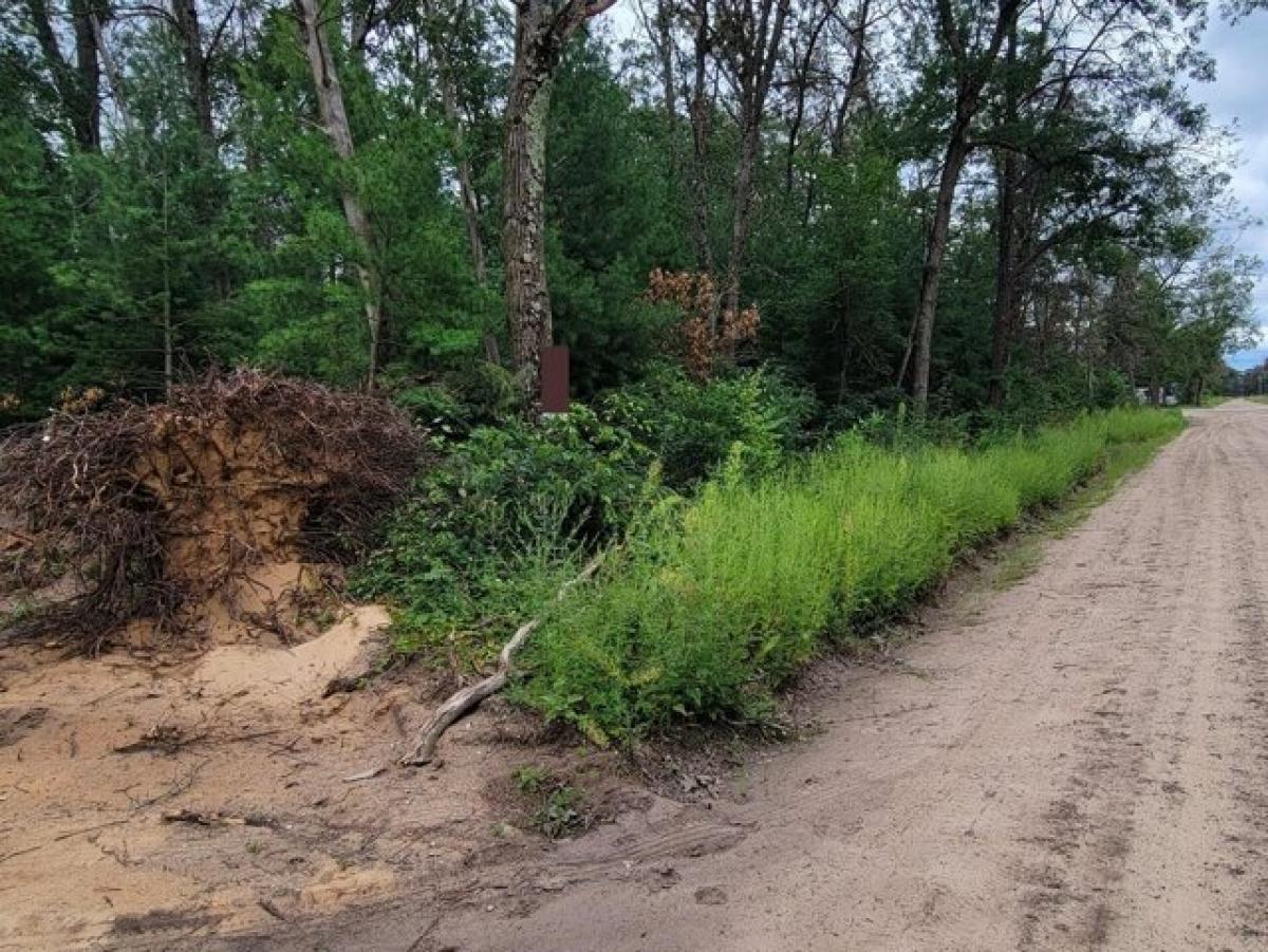 Picture of Residential Land For Rent in Baldwin, Michigan, United States