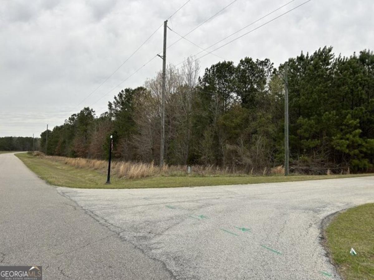 Picture of Residential Land For Rent in Tignall, Georgia, United States
