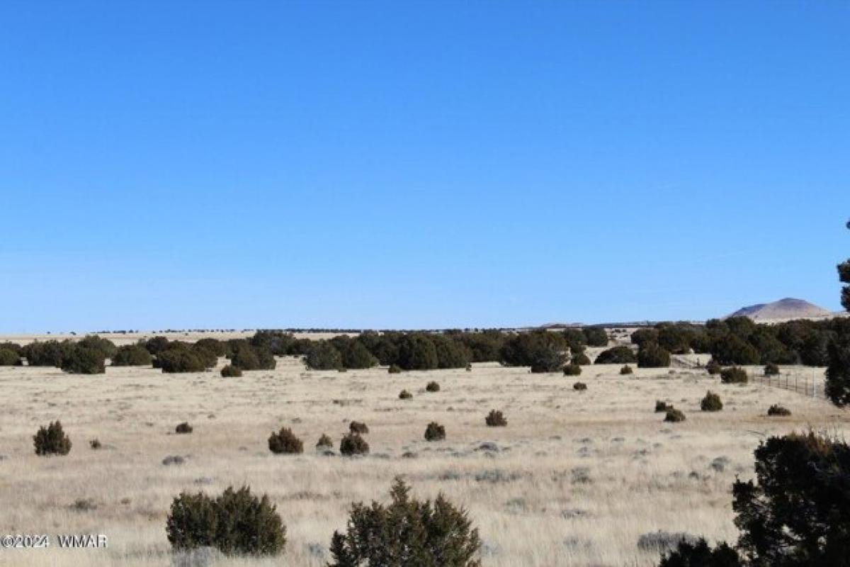 Picture of Residential Land For Rent in Concho, Arizona, United States