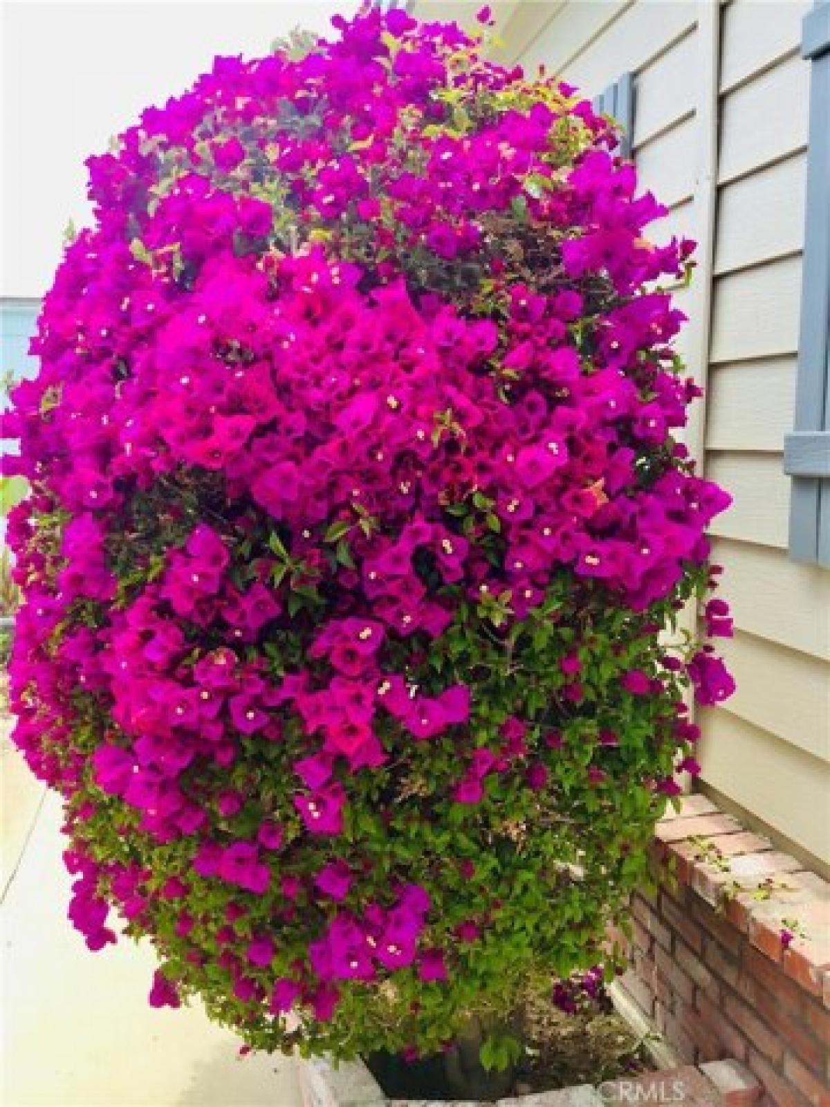 Picture of Home For Sale in Arroyo Grande, California, United States