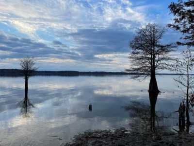 Residential Land For Sale in Broaddus, Texas