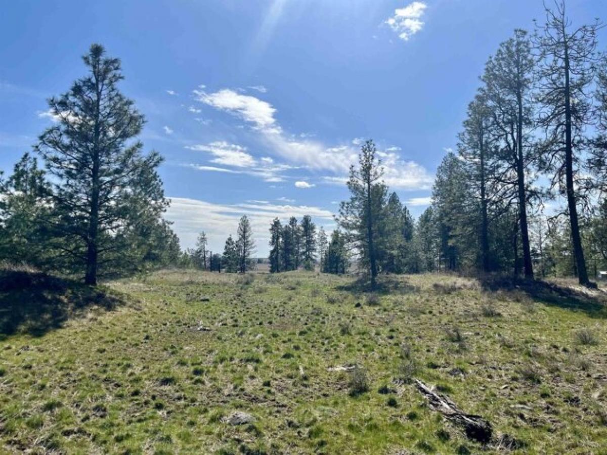 Picture of Residential Land For Sale in Reardan, Washington, United States