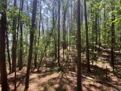 Residential Land For Sale in Shelbyville, Texas