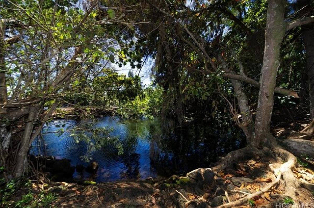 Picture of Residential Land For Sale in Hilo, Hawaii, United States