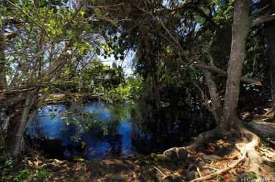 Residential Land For Sale in Hilo, Hawaii