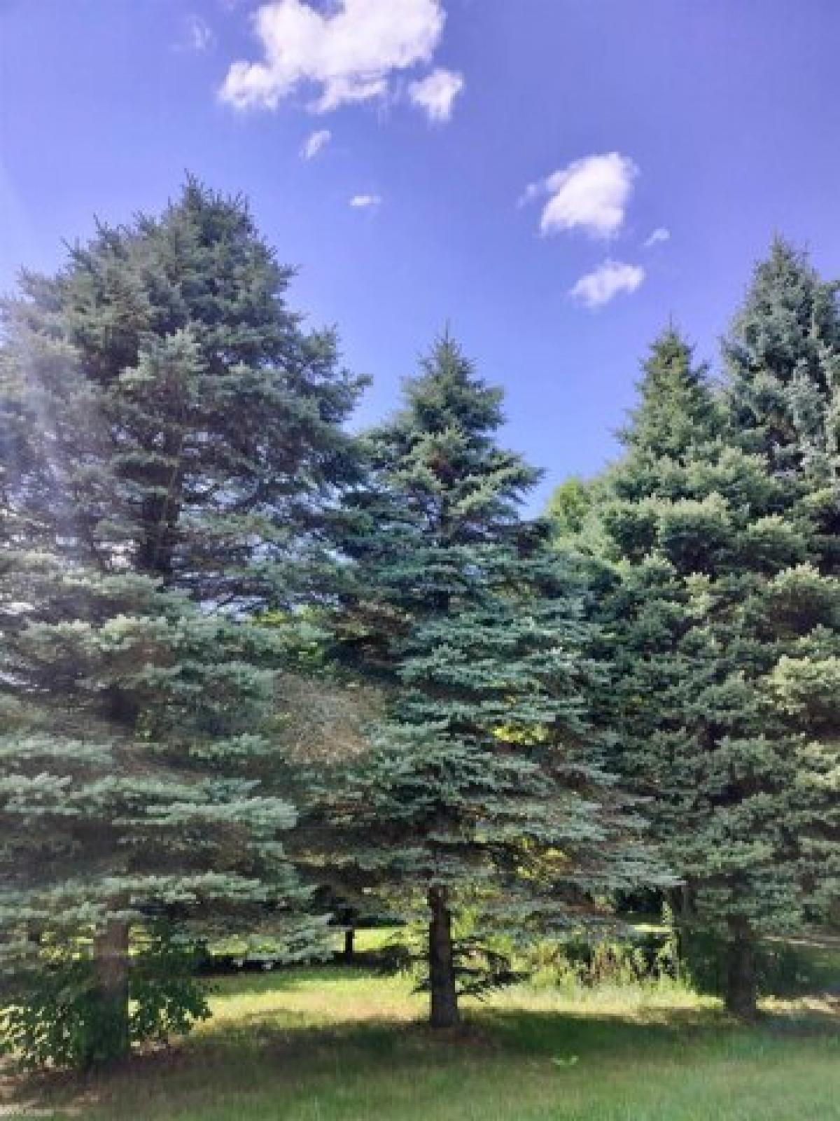 Picture of Residential Land For Sale in Fort Gratiot, Michigan, United States