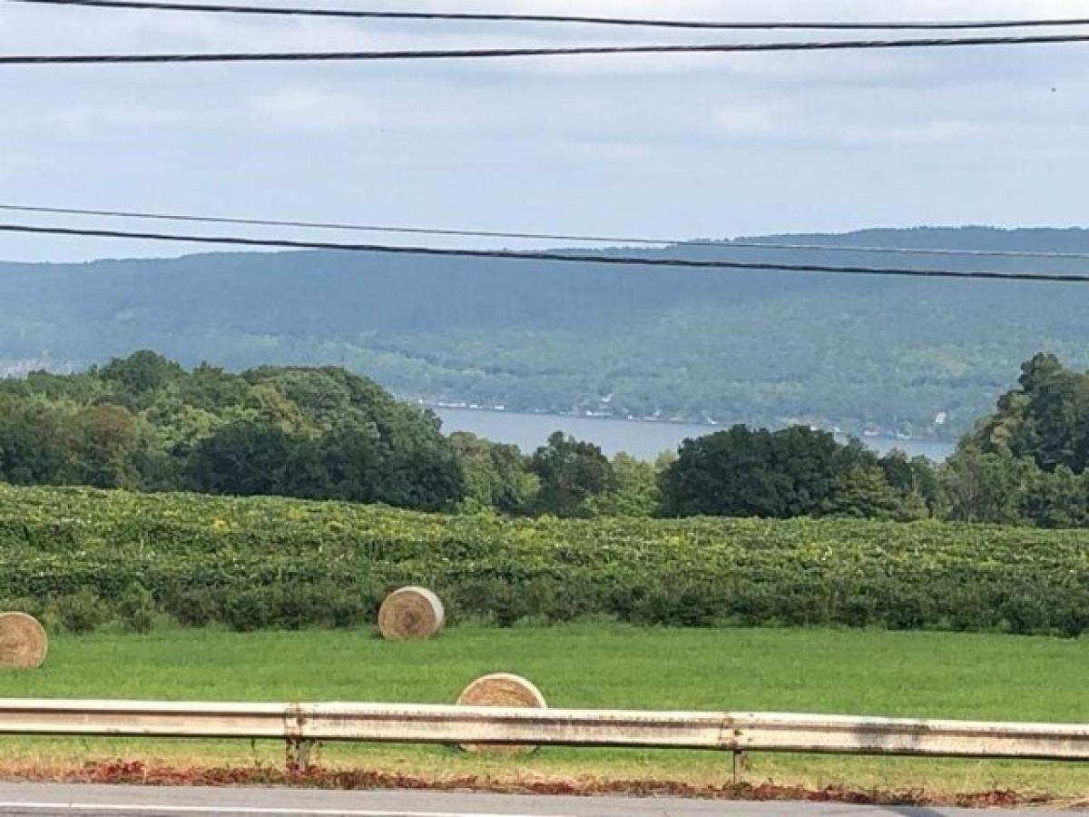 Picture of Residential Land For Sale in Naples, New York, United States