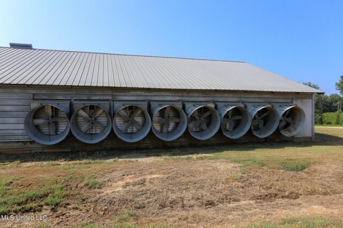 Picture of Residential Land For Rent in Prentiss, Mississippi, United States