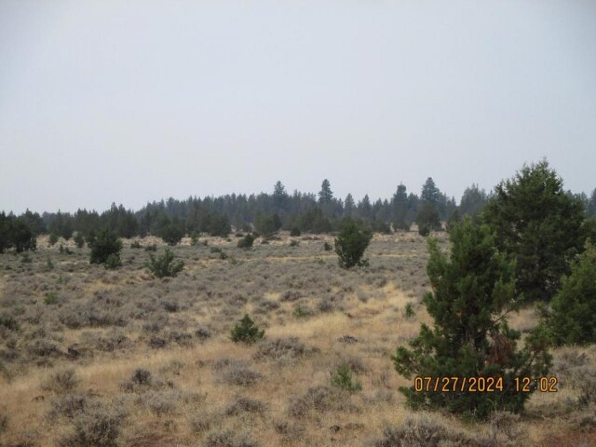 Picture of Residential Land For Rent in Bonanza, Oregon, United States