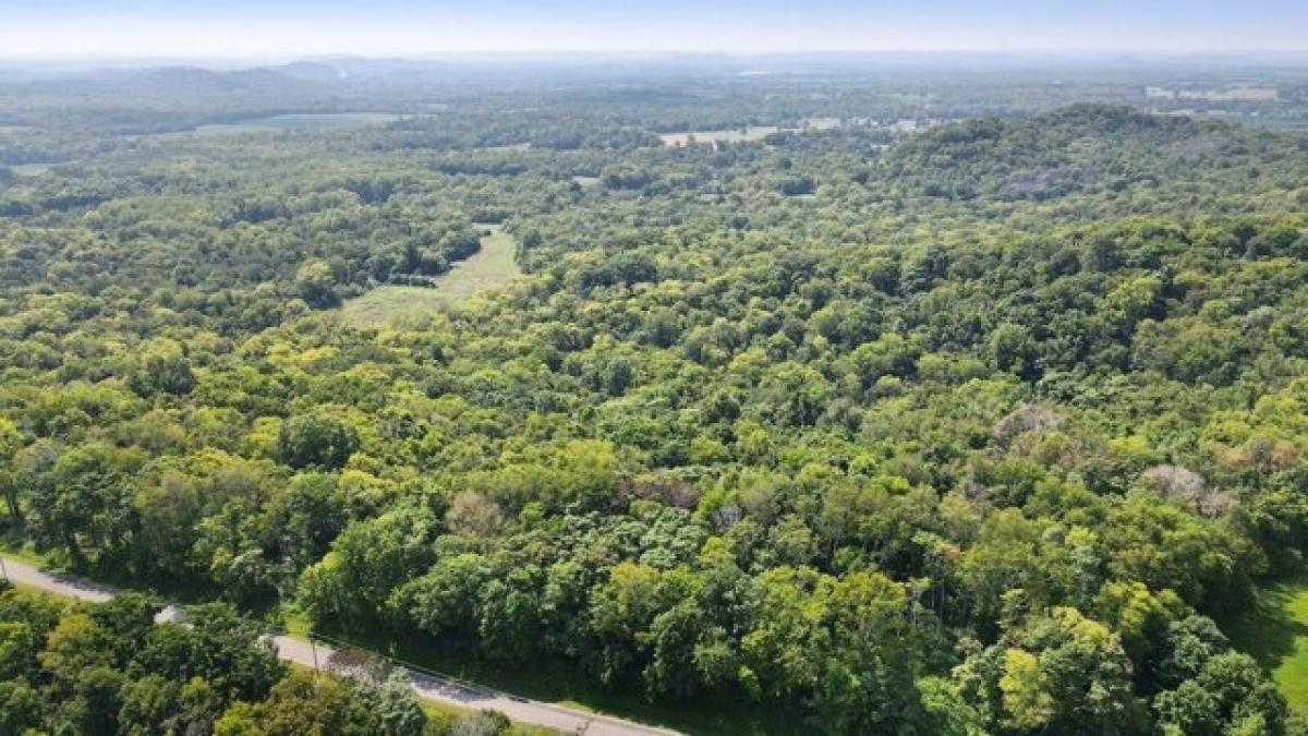 Picture of Residential Land For Sale in Columbia, Tennessee, United States