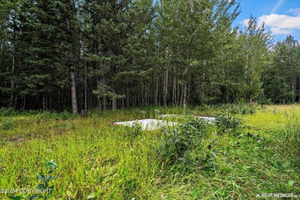 Picture of Home For Sale in Palmer, Alaska, United States