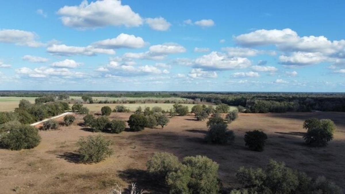 Picture of Residential Land For Rent in Trenton, Florida, United States