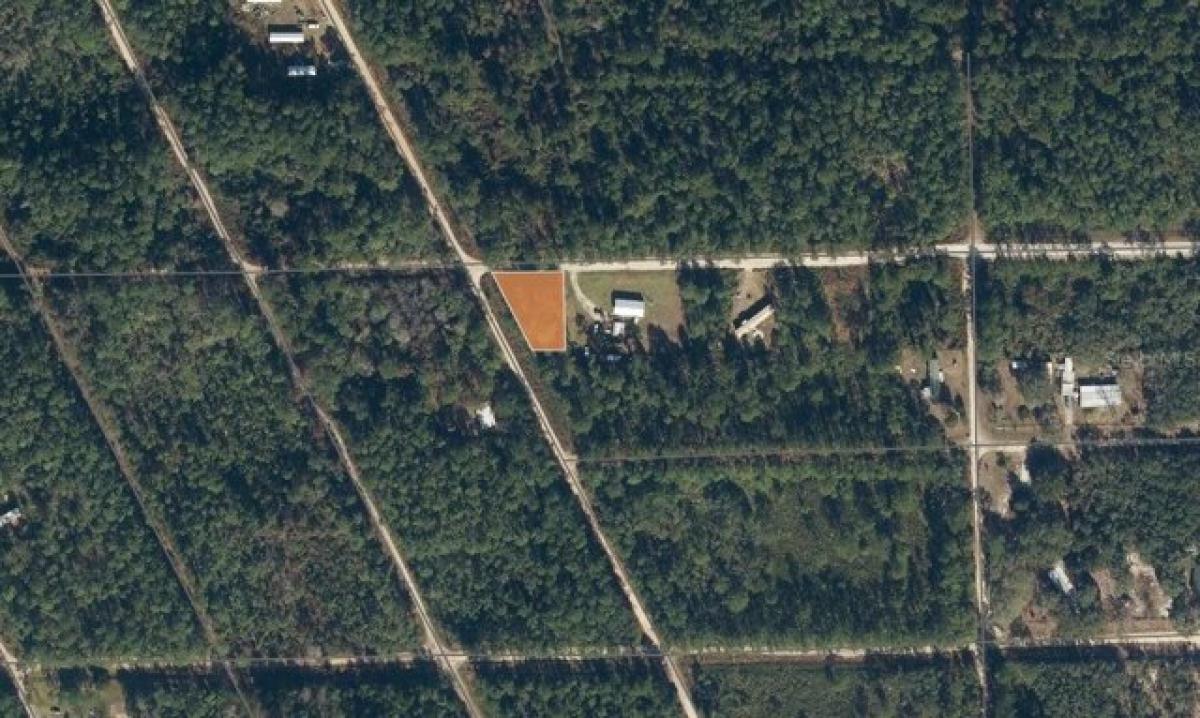 Picture of Residential Land For Rent in Satsuma, Florida, United States