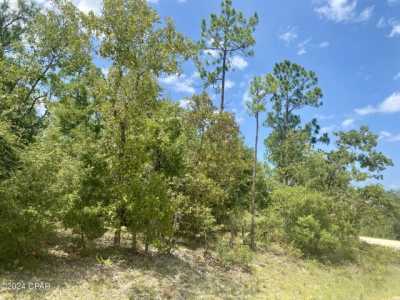 Residential Land For Sale in Alford, Florida