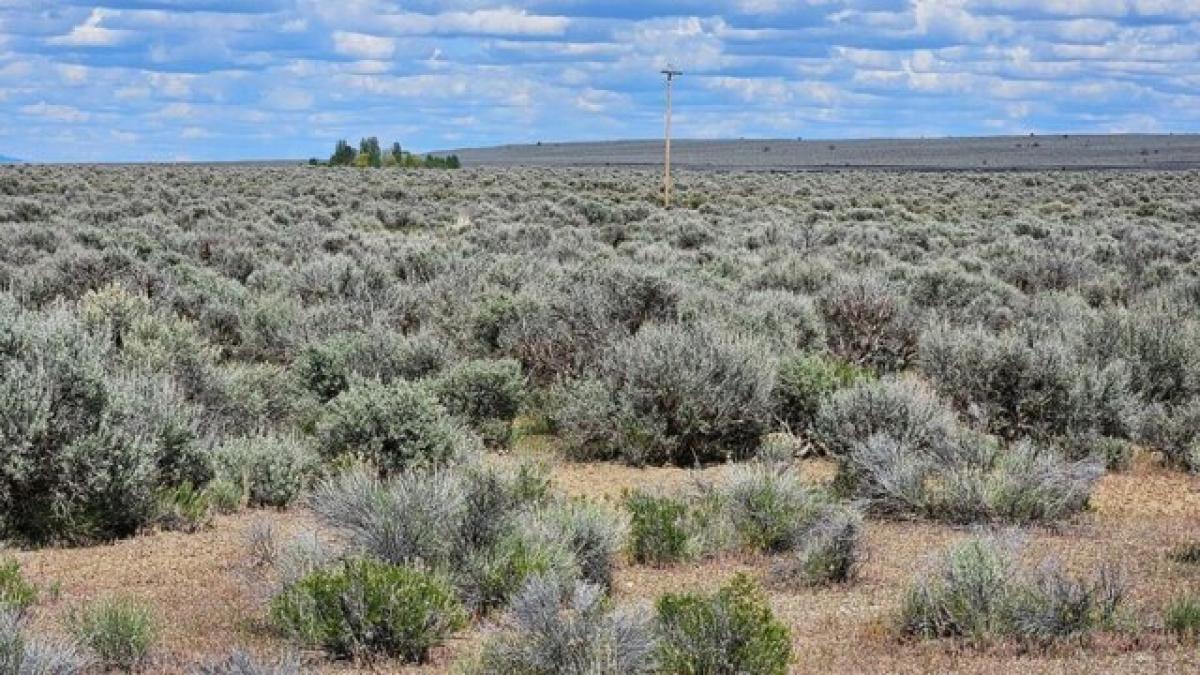 Picture of Residential Land For Rent in Christmas Valley, Oregon, United States