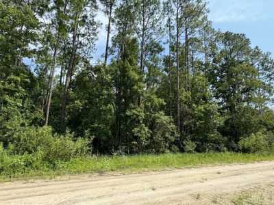 Residential Land For Rent in Satsuma, Florida
