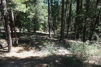 Residential Land For Rent in Quincy, California