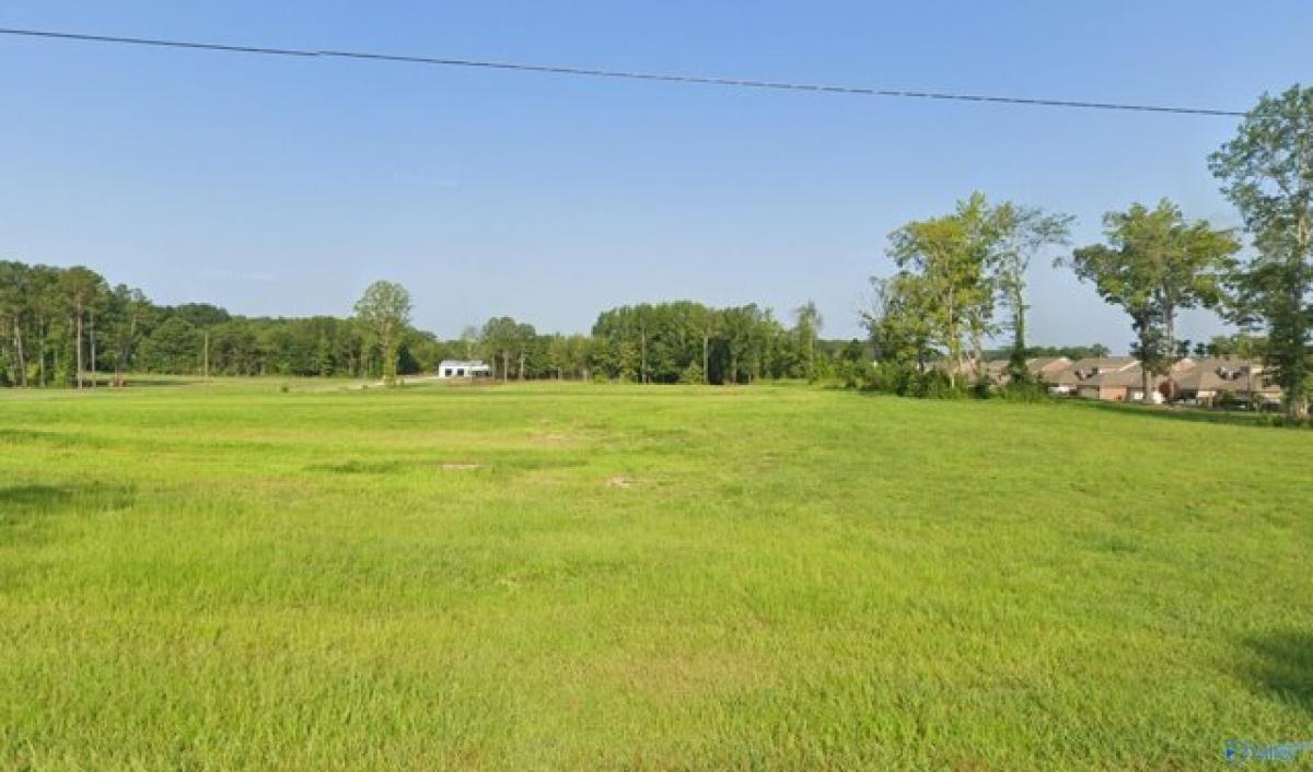 Picture of Residential Land For Sale in Decatur, Alabama, United States