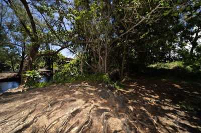 Residential Land For Sale in Hilo, Hawaii