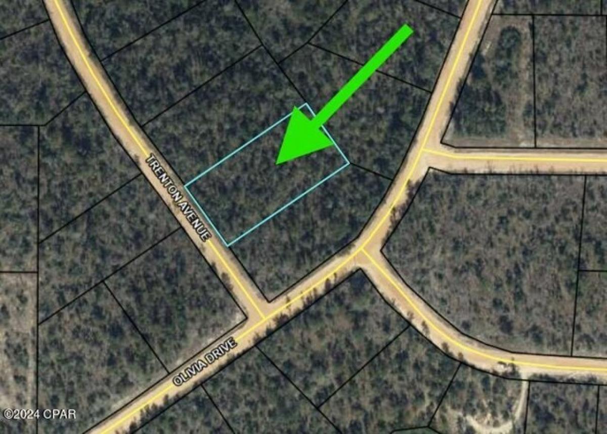 Picture of Residential Land For Rent in Alford, Florida, United States