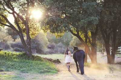 Multi-Family Home For Sale in Escondido, California