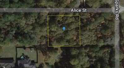 Residential Land For Sale in Orange, Texas