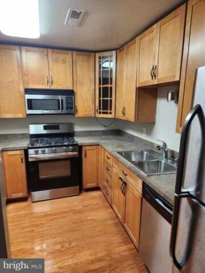 Apartment For Rent in Alexandria, Virginia