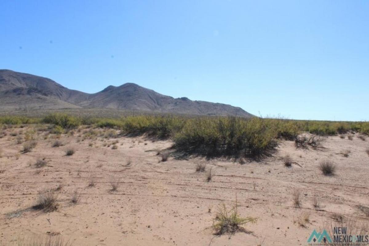 Picture of Residential Land For Rent in Deming, New Mexico, United States