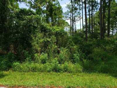 Residential Land For Sale in Panacea, Florida