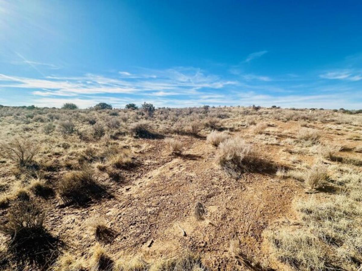 Picture of Residential Land For Rent in Los Lunas, New Mexico, United States