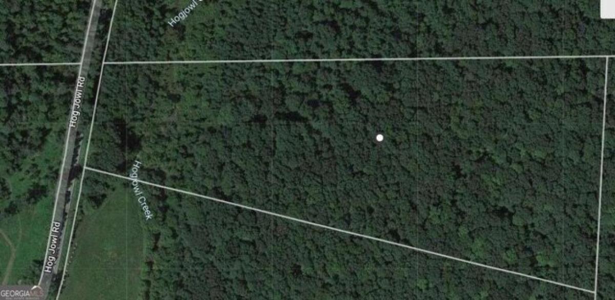 Picture of Residential Land For Sale in Chickamauga, Georgia, United States