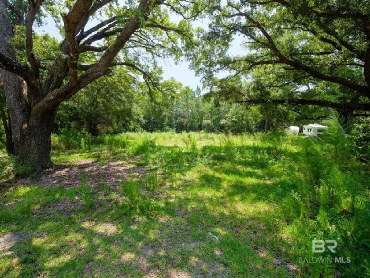 Picture of Residential Land For Sale in Gulf Shores, Alabama, United States