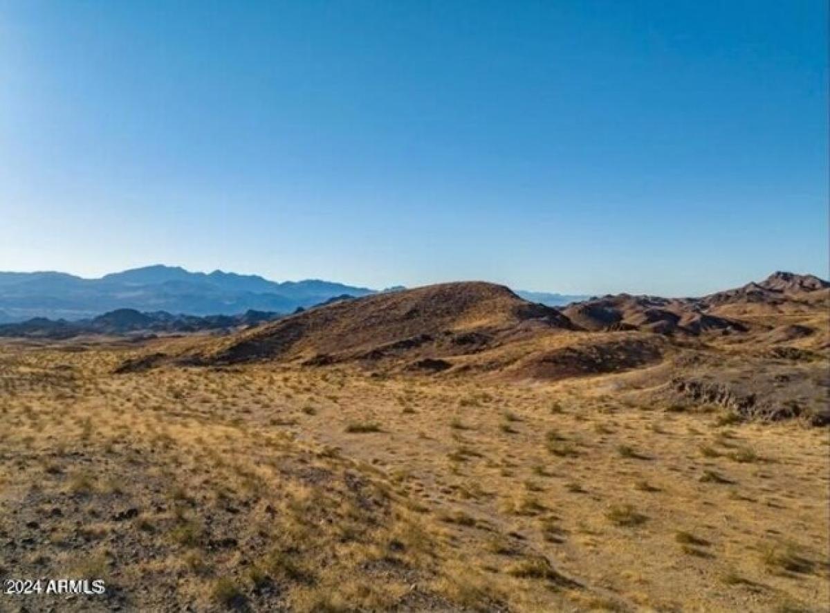 Picture of Residential Land For Sale in Bullhead City, Arizona, United States