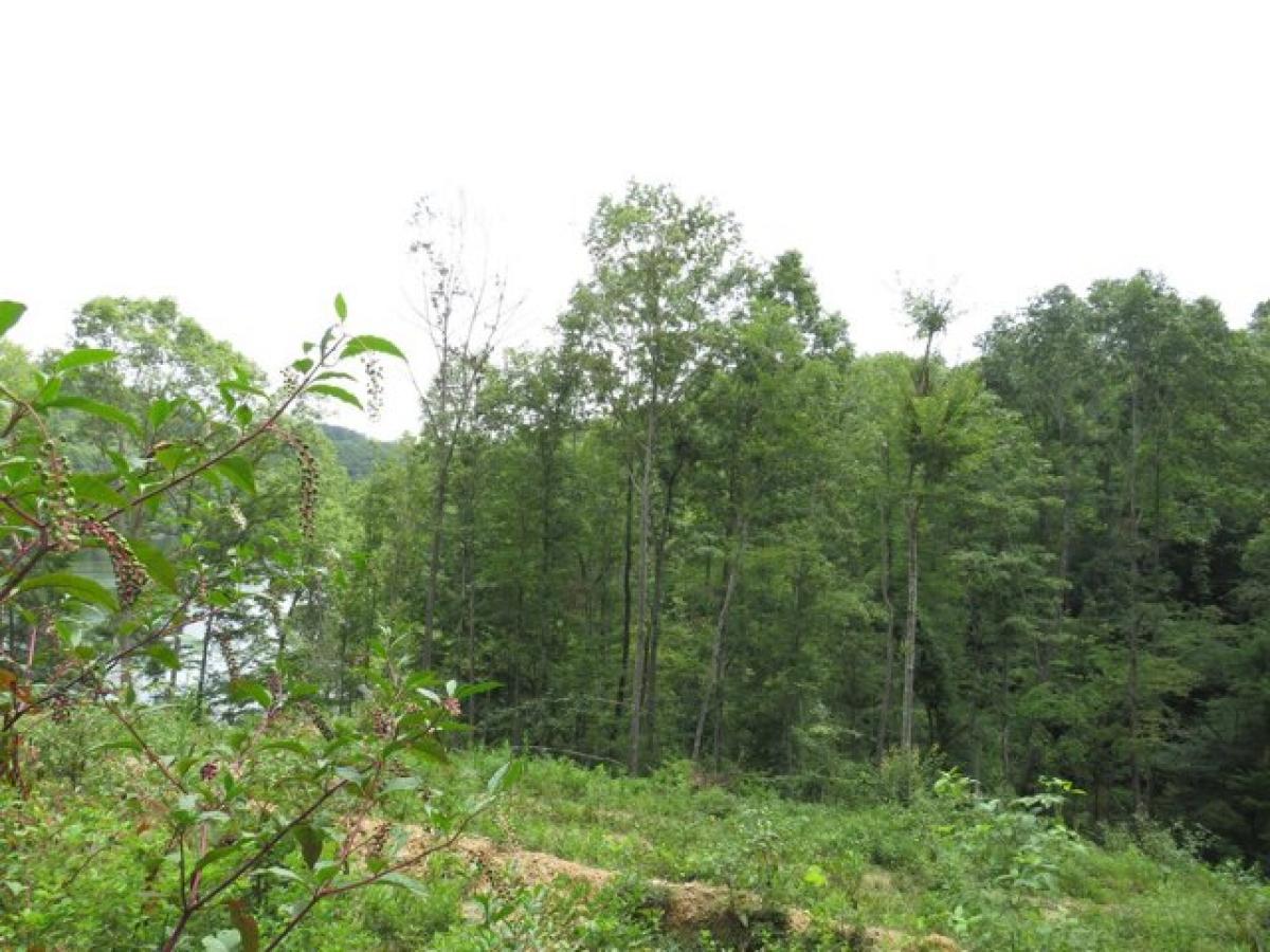 Picture of Residential Land For Sale in London, Kentucky, United States